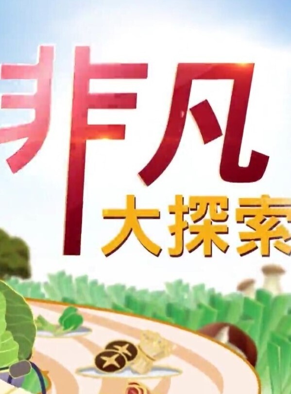 推特博主Elsa真实约反差钢琴老师啪啪自拍 - 麻花影视